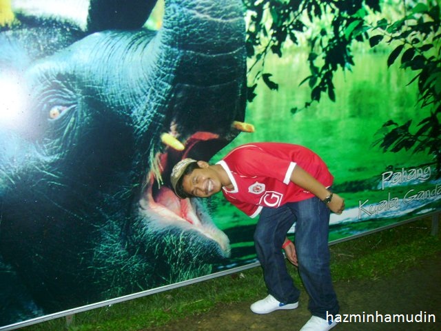 Di Gigit Gajah