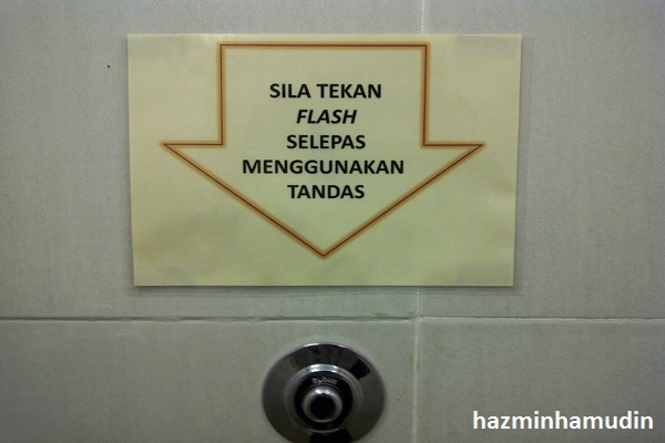 Please Flush the Toilet